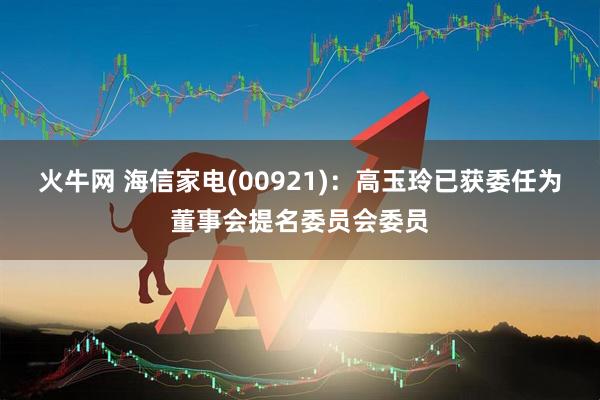 火牛网 海信家电(00921)：高玉玲已获委任为董事会提名委员会委员