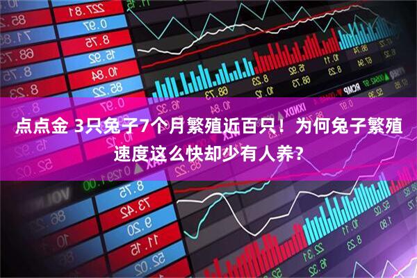 点点金 3只兔子7个月繁殖近百只！为何兔子繁殖速度这么快却少有人养？