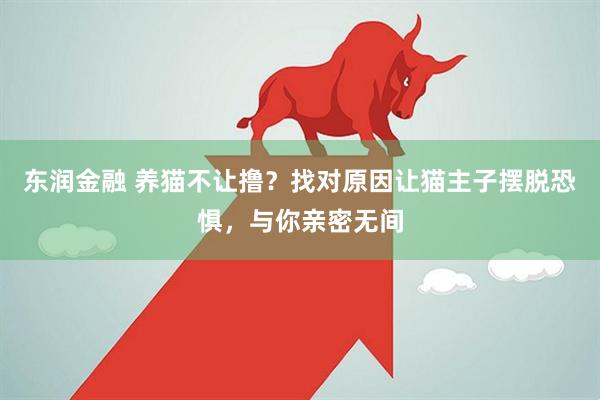 东润金融 养猫不让撸？找对原因让猫主子摆脱恐惧，与你亲密无间