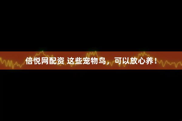 倍悦网配资 这些宠物鸟，可以放心养！
