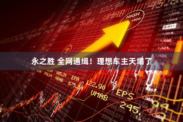 永之胜 全网通缉！理想车主天塌了