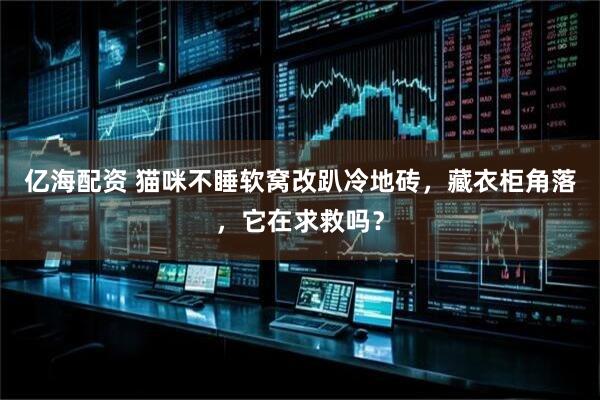 亿海配资 猫咪不睡软窝改趴冷地砖，藏衣柜角落，它在求救吗？