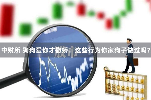 中财所 狗狗爱你才撒娇！这些行为你家狗子做过吗？