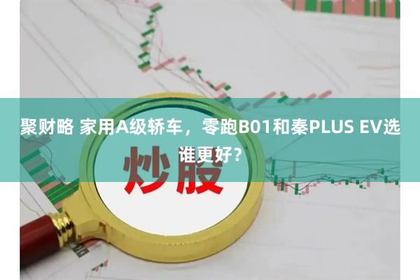 聚财略 家用A级轿车，零跑B01和秦PLUS EV选谁更好？