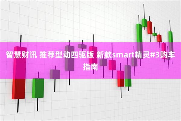 智慧财讯 推荐型动四驱版 新款smart精灵#3购车指南