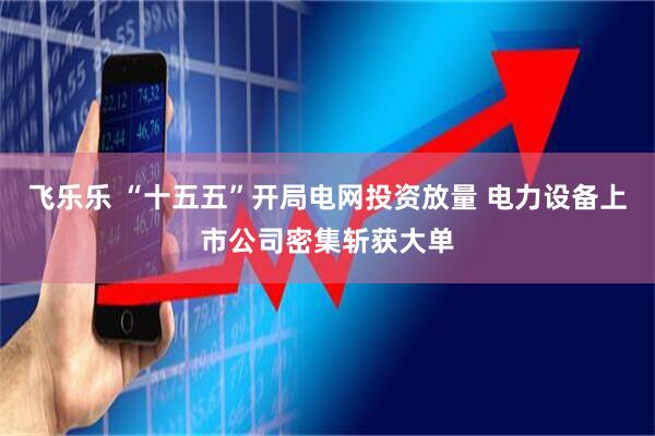 飞乐乐 “十五五”开局电网投资放量 电力设备上市公司密集斩获大单