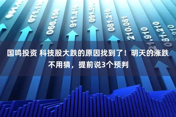 国鸣投资 科技股大跌的原因找到了!明天的涨跌不用猜,提前说3个预判